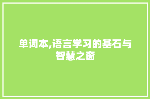 单词本,语言学习的基石与智慧之窗
