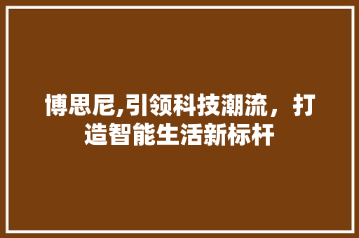 博思尼,引领科技潮流，打造智能生活新标杆 服务器/数据库