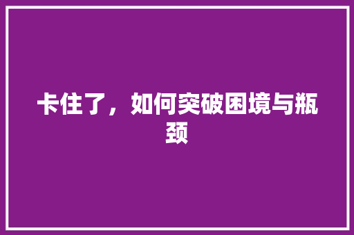 卡住了，如何突破困境与瓶颈 SEO教程