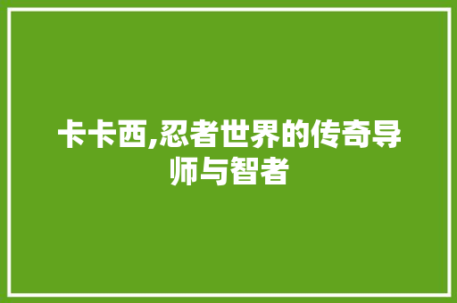 卡卡西,忍者世界的传奇导师与智者