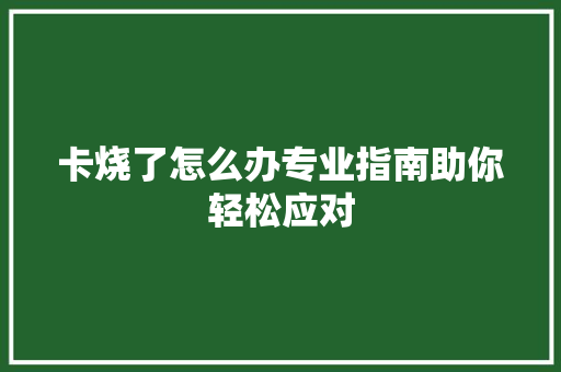 卡烧了怎么办专业指南助你轻松应对 友链在线