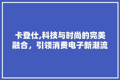 卡登仕,科技与时尚的完美融合，引领消费电子新潮流 Web前端