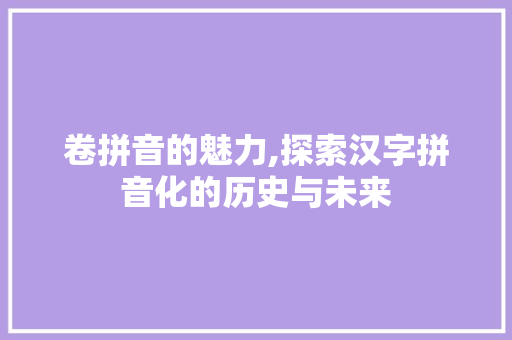 卷拼音的魅力,探索汉字拼音化的历史与未来 Web前端