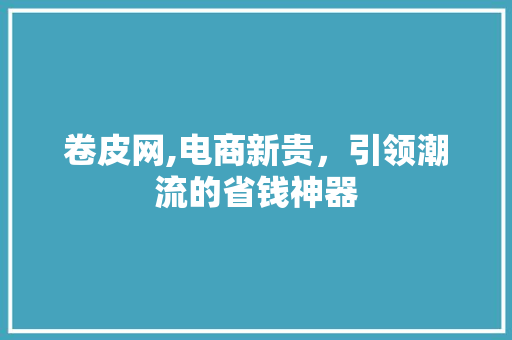 卷皮网,电商新贵，引领潮流的省钱神器 WordPress教程