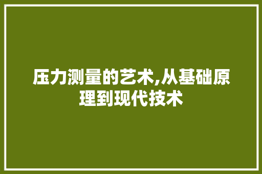 压力测量的艺术,从基础原理到现代技术 友链在线