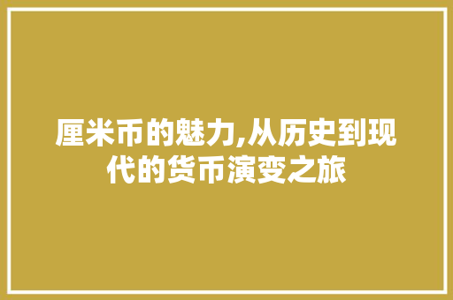 厘米币的魅力,从历史到现代的货币演变之旅 SEO教程
