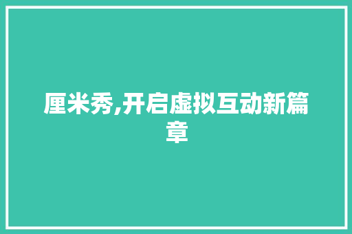厘米秀,开启虚拟互动新篇章 SEO教程