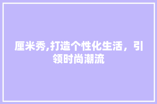 厘米秀,打造个性化生活，引领时尚潮流 SEO教程