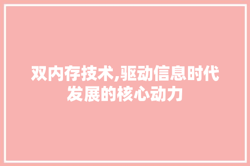 双内存技术,驱动信息时代发展的核心动力