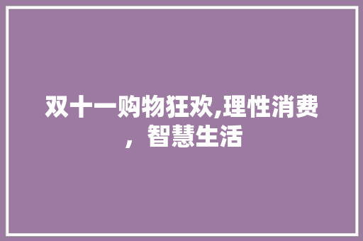 双十一购物狂欢,理性消费，智慧生活 SEO教程