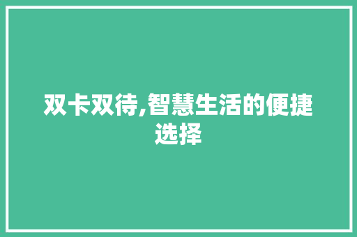 双卡双待,智慧生活的便捷选择