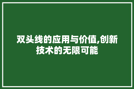 双头线的应用与价值,创新技术的无限可能 SEO教程