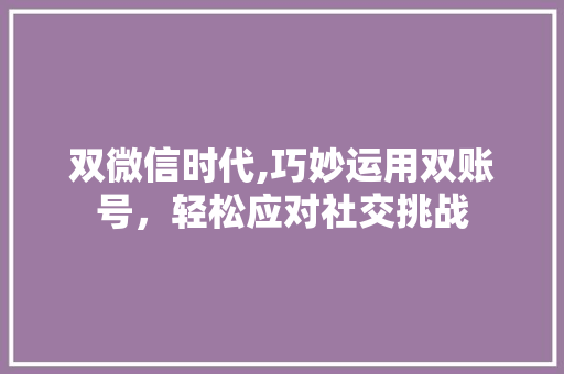 双微信时代,巧妙运用双账号，轻松应对社交挑战