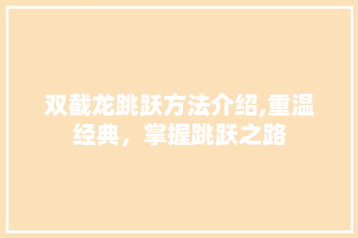 双截龙跳跃方法介绍,重温经典，掌握跳跃之路