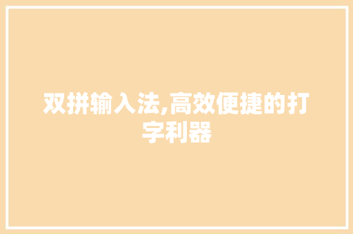 双拼输入法,高效便捷的打字利器