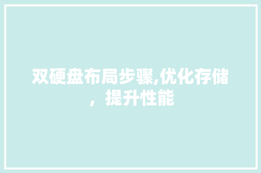 双硬盘布局步骤,优化存储，提升性能