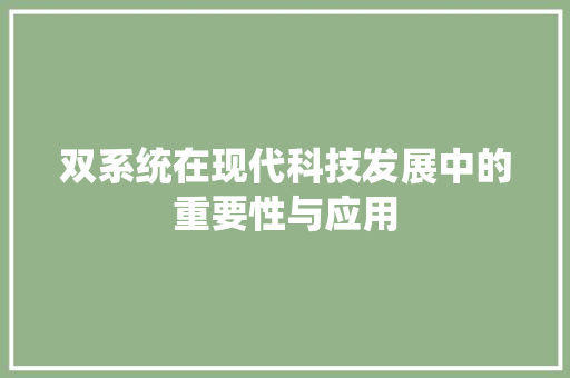 双系统在现代科技发展中的重要性与应用