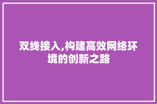 双线接入,构建高效网络环境的创新之路
