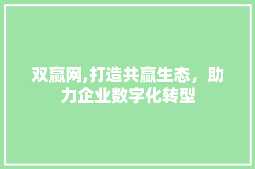 双赢网,打造共赢生态，助力企业数字化转型 WordPress教程