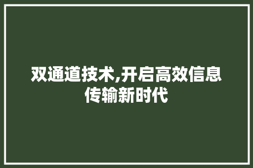 双通道技术,开启高效信息传输新时代