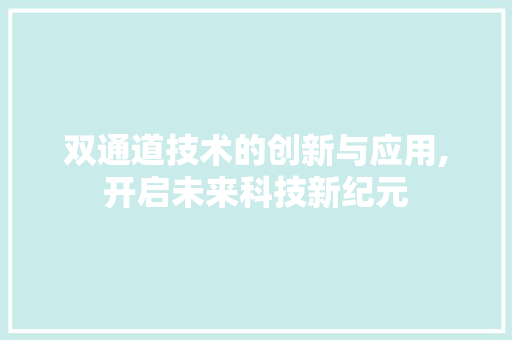 双通道技术的创新与应用,开启未来科技新纪元