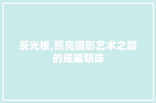 反光板,照亮摄影艺术之路的璀璨明珠