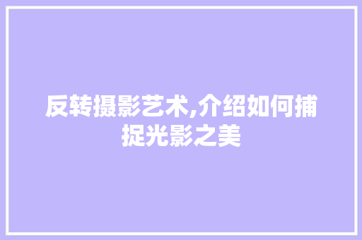反转摄影艺术,介绍如何捕捉光影之美