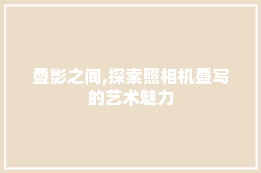 叠影之间,探索照相机叠写的艺术魅力 WordPress教程
