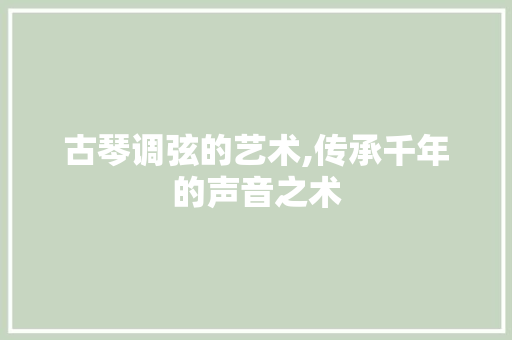 古琴调弦的艺术,传承千年的声音之术