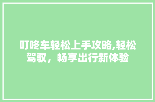 叮咚车轻松上手攻略,轻松驾驭，畅享出行新体验
