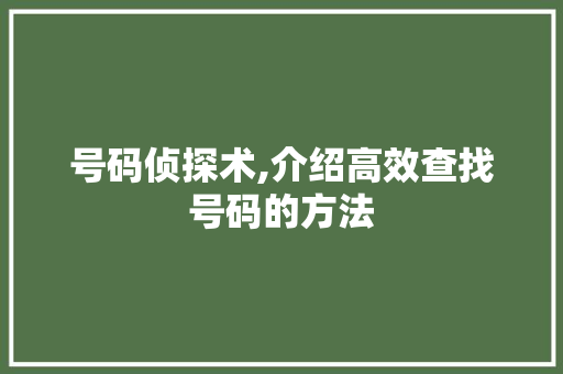 号码侦探术,介绍高效查找号码的方法 建站教程