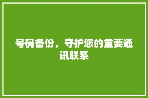 号码备份，守护您的重要通讯联系