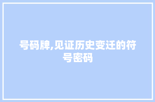 号码牌,见证历史变迁的符号密码