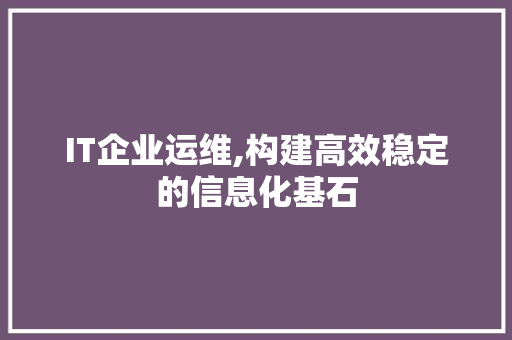 IT企业运维,构建高效稳定的信息化基石 建站教程