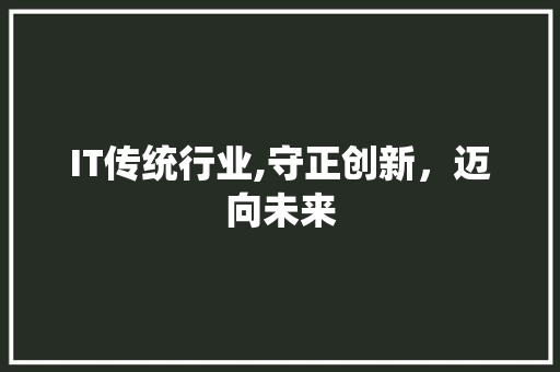 IT传统行业,守正创新，迈向未来 SEO教程