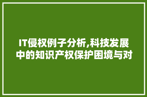 IT侵权例子分析,科技发展中的知识产权保护困境与对策 友链在线