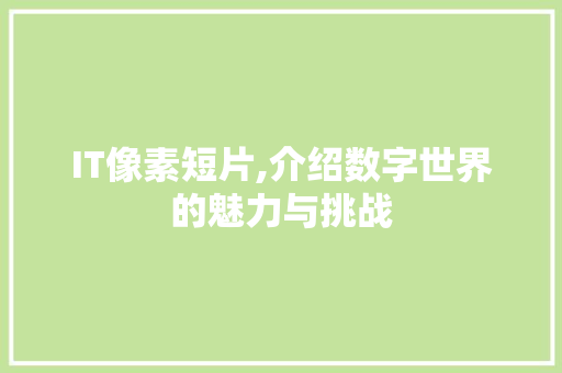 IT像素短片,介绍数字世界的魅力与挑战 Web前端