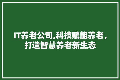 IT养老公司,科技赋能养老，打造智慧养老新生态