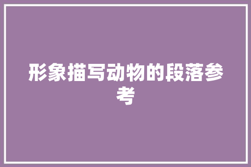 IT创新,引领未来发展的动力源泉 建站教程
