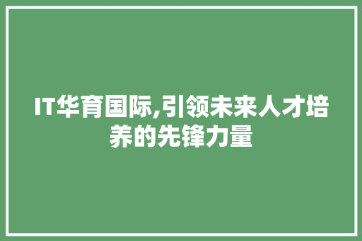 IT华育国际,引领未来人才培养的先锋力量 服务器/数据库