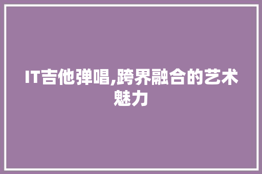 IT吉他弹唱,跨界融合的艺术魅力