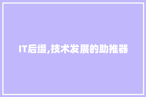 IT后缀,技术发展的助推器