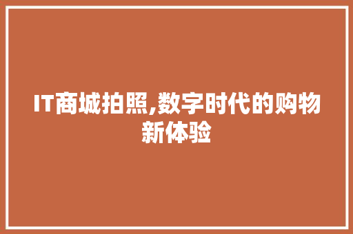 IT商城拍照,数字时代的购物新体验