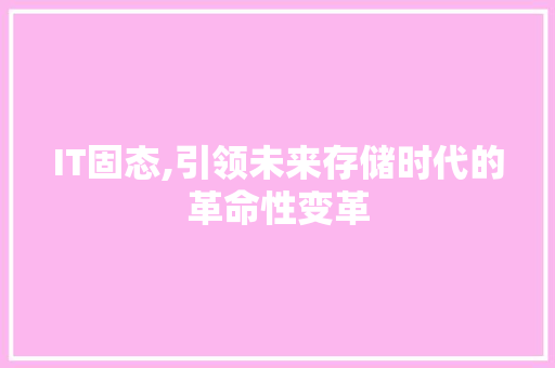 IT固态,引领未来存储时代的革命性变革