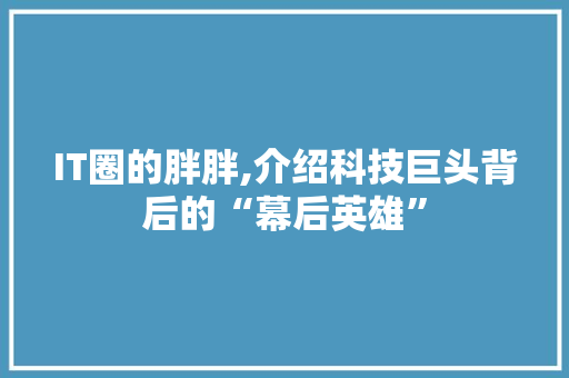IT圈的胖胖,介绍科技巨头背后的“幕后英雄”