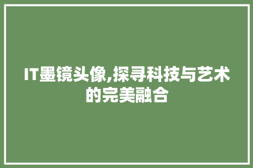 IT墨镜头像,探寻科技与艺术的完美融合 友链在线