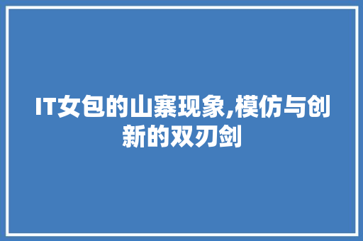 IT女包的山寨现象,模仿与创新的双刃剑
