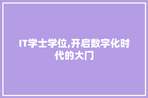 IT学士学位,开启数字化时代的大门