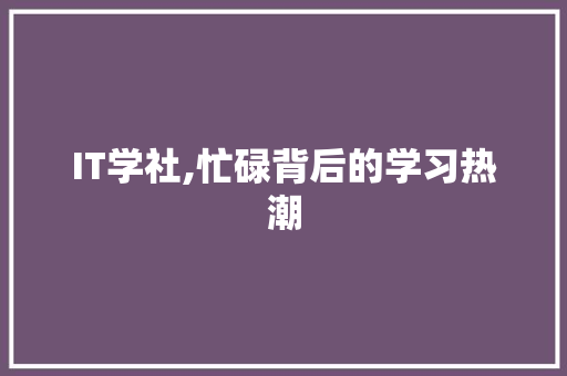 IT学社,忙碌背后的学习热潮