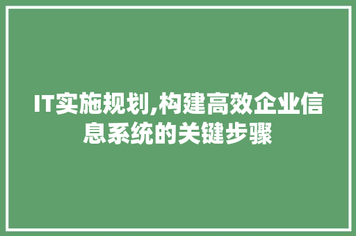 IT实施规划,构建高效企业信息系统的关键步骤